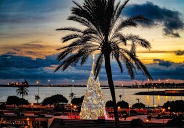 Palma im Lichterzaube